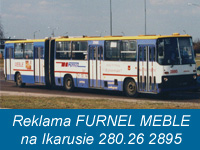 483.jpg