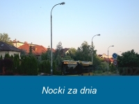 Nocki za dnia