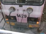 16745.jpg