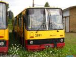 21606.jpg