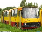 21664.jpg