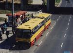 23275.jpg