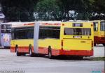 23899.jpg