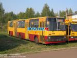 3503.jpg