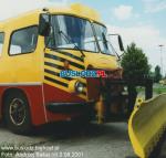 3914.jpg