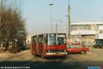 4015.jpg