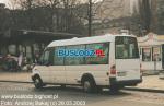 4619.jpg