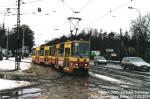 4910.jpg