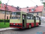 494.jpg
