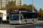6803.jpg