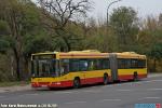 6903.jpg
