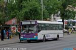7394.jpg