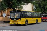 7520.jpg