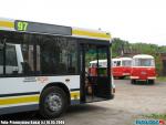 7862.jpg