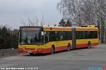 8155.jpg