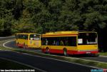 8605.jpg