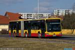 9174.jpg