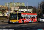 9178.jpg