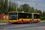9631.jpg